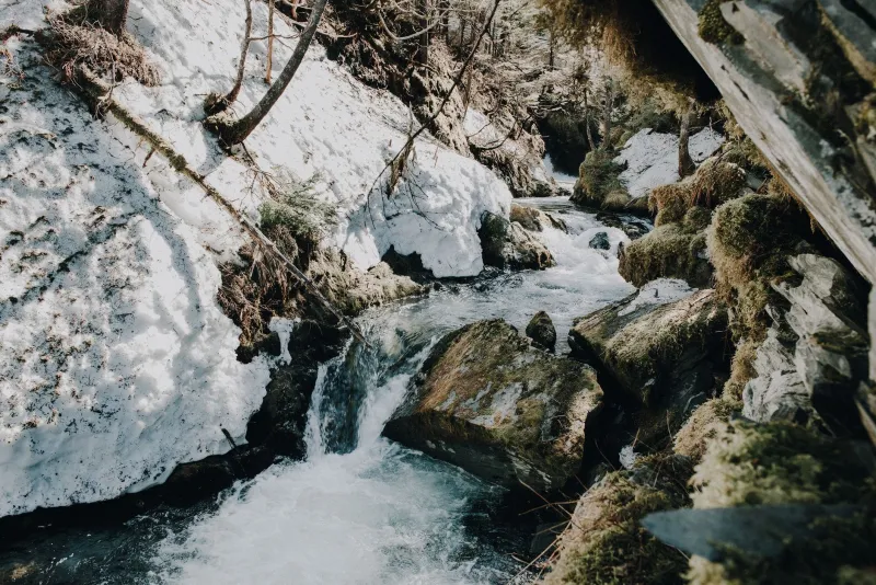 Liquid Geology: How the Roaring Fork Watershed Becomes the Secret Ingredient in Every Pint We Pour