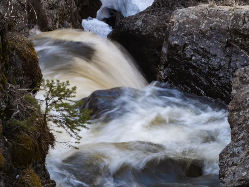 Mineral Magic: What Makes Roaring Fork Water the Brewer's Secret Weapon