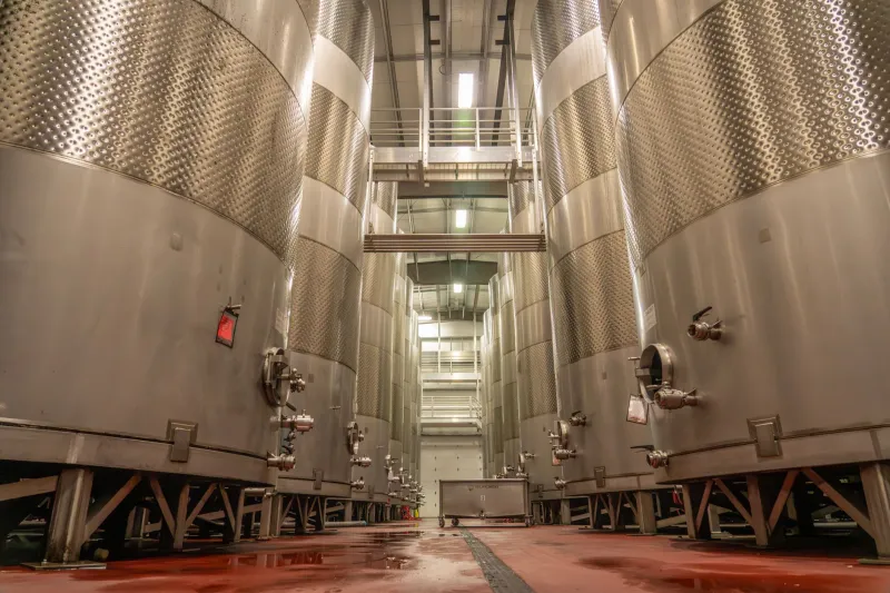 Thin Air, Bold Beer: The Fermentation Science Behind Brewing at 8,000 Feet